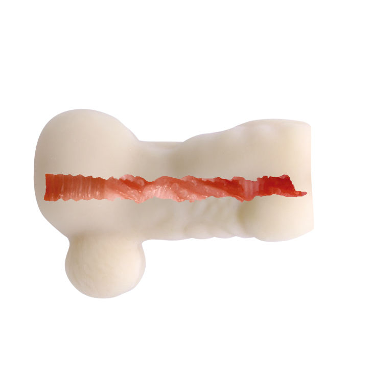 BAILE - MINI MASTURBADOR MASCULINO BACK SPIRIT - Image 6